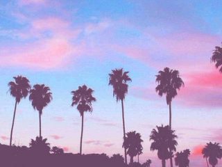 Best things to do in California. Check it Out!